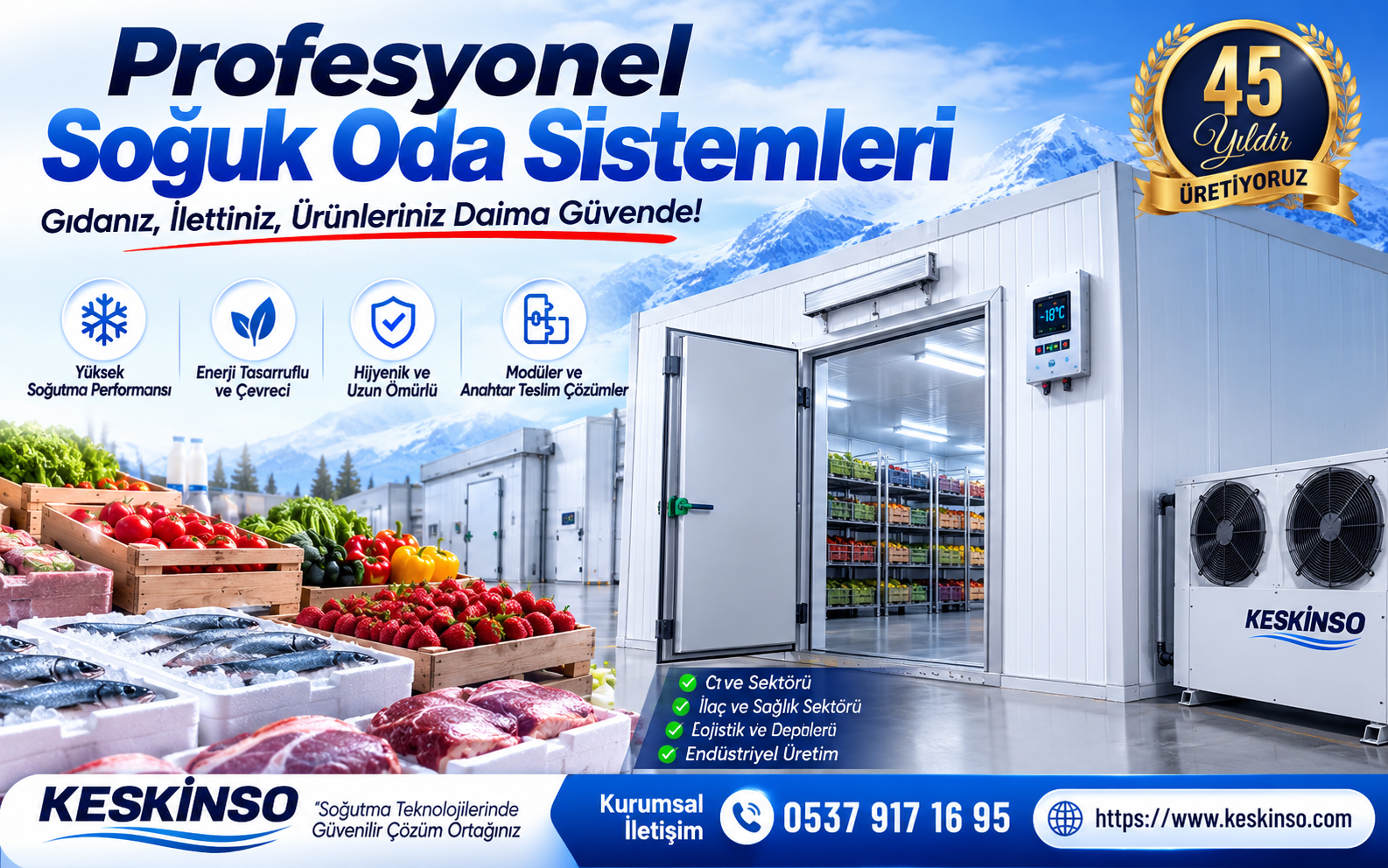 Profesyonel soğuk oda sistemleri.